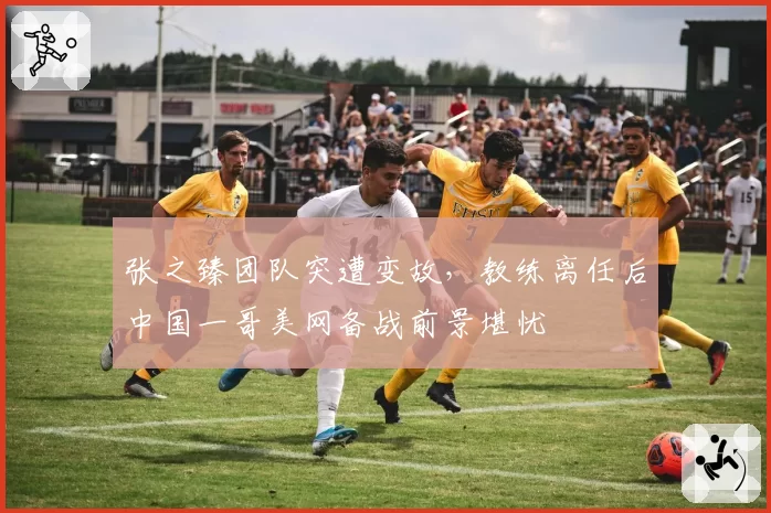 张之臻团队突遭变故,教练离任后中国一哥美网备战前景堪忧