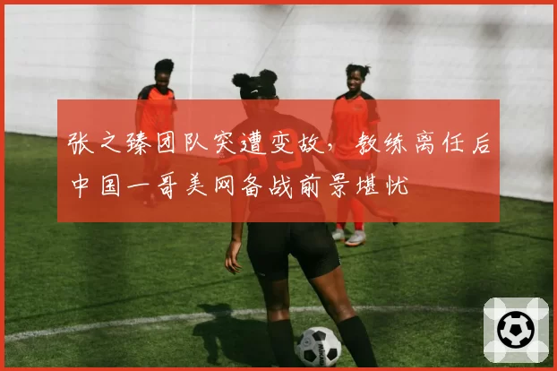张之臻团队突遭变故,教练离任后中国一哥美网备战前景堪忧