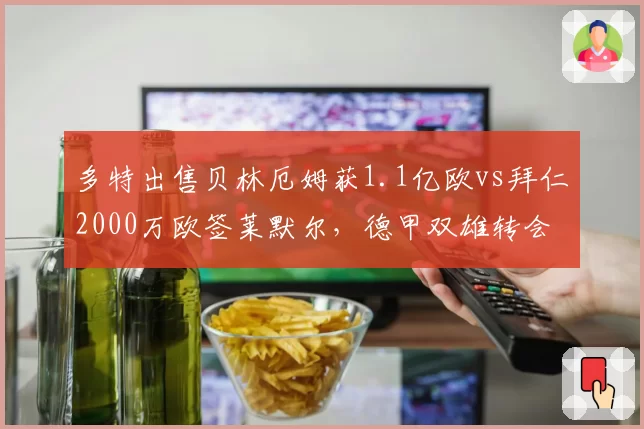 多特出售贝林厄姆获1.1亿欧vs拜仁2000万欧签莱默尔,德甲双雄转会收支对比